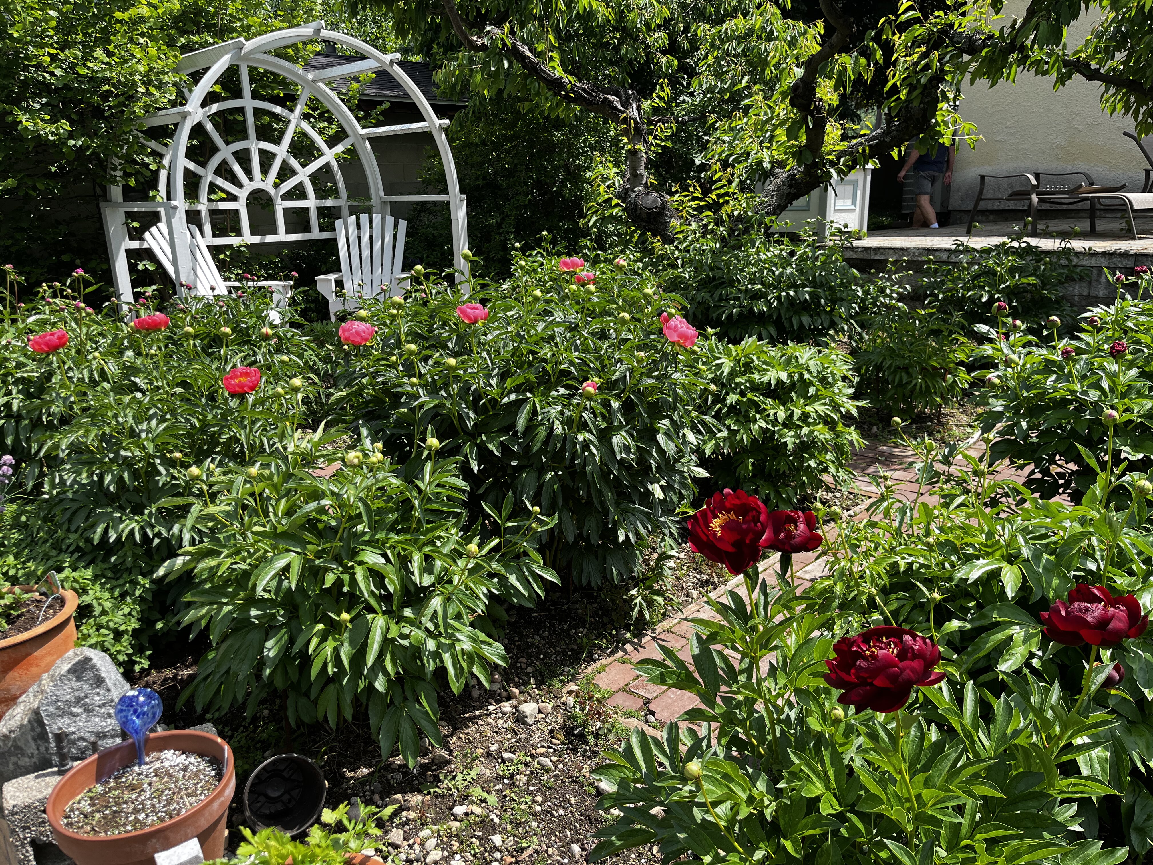 Scenic property view at Genelle House B and B
