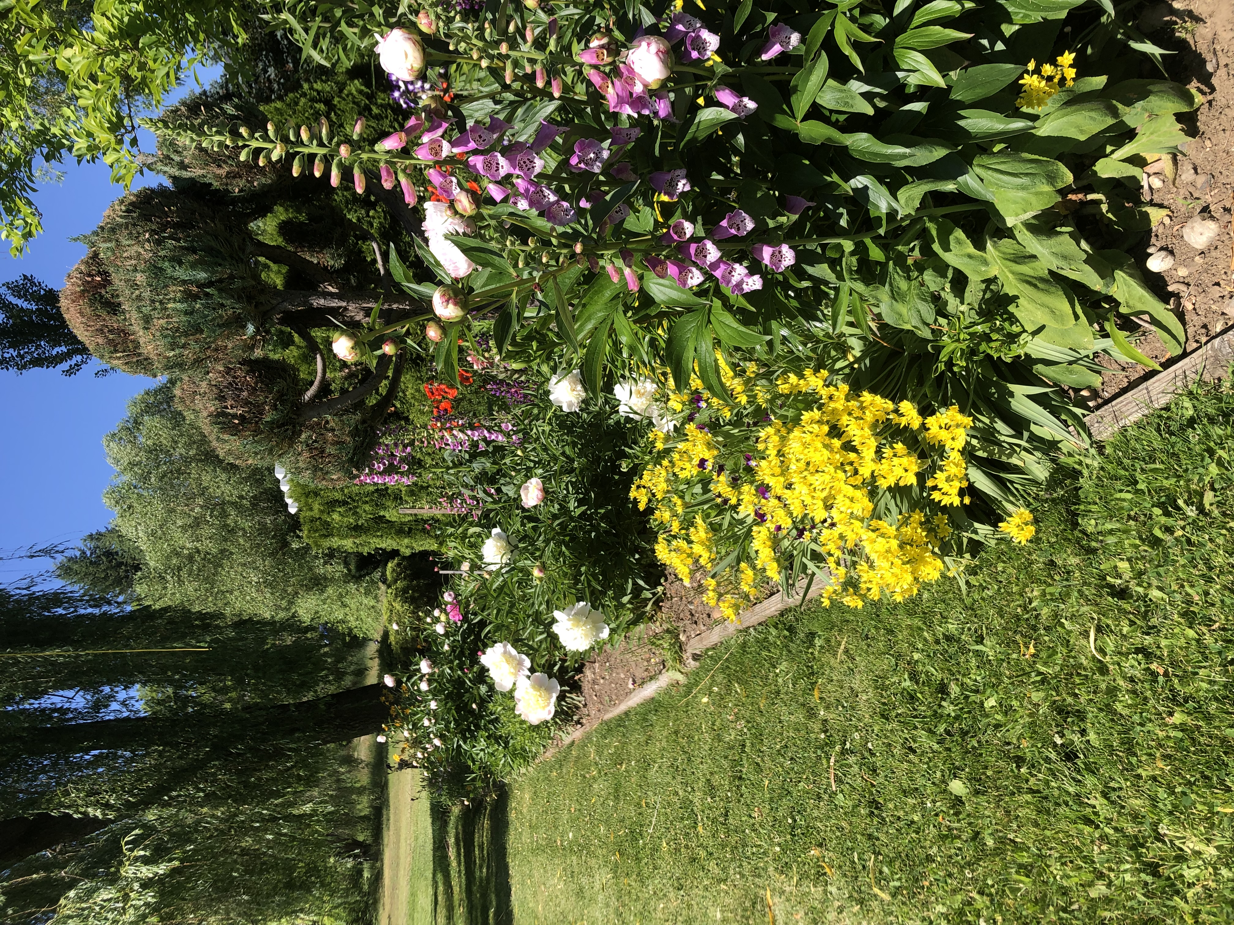 Portrait representing grounds care at Genelle House B and B